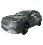 GAC EMZOOM 2025-2026