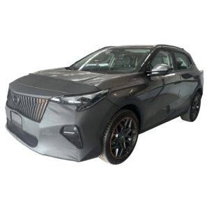 GAC EMZOOM 2025-2026